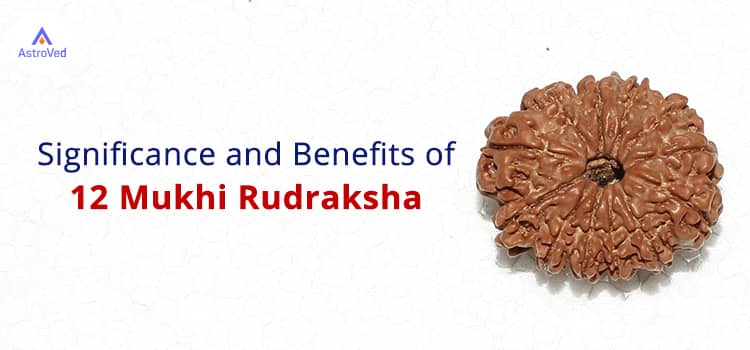 12 Mukhi Rudraksha: Benefits, Power, and Significance