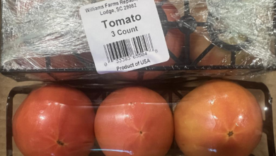 FDA Issues Highest Alert Over Tomato Recall in 3 Southern States