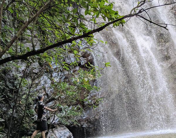 3 Day Cairns Itinerary: Exploring Tropical North Queensland 3 Day Cairns Itinerary: Exploring Tropical North Queensland