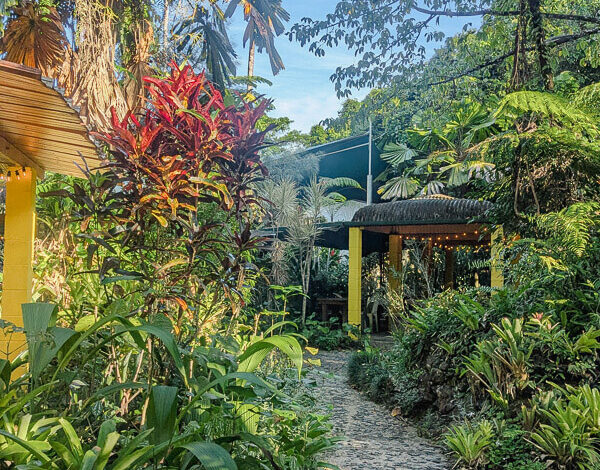 The Best Things To Do in Daintree Rainforest & Cape Tribulation