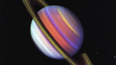 Saturn Retrograde rewinding timelines | Tara Greene,Tarot,Astrology,Psychic